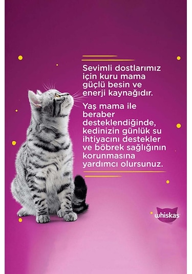 Whiskas Tavuklu Poşet Kedi Yaş Mama 85 G 12x