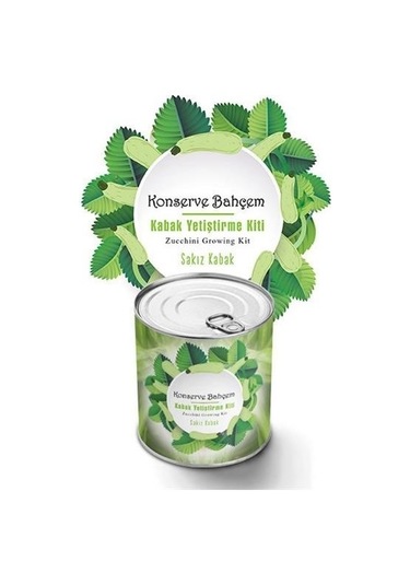 Buffer Konserve Bahçem Evde Konservede Sakız Kabak Yetiştirme Kiti Mavi