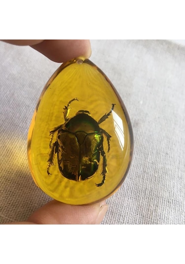 Tenfowee Amber Yapay Paha Biçimli Böcekli Altın Böceği İki Yönlü Gövde Takısı - Dekoratif Taş Koleksiyon Eşyası