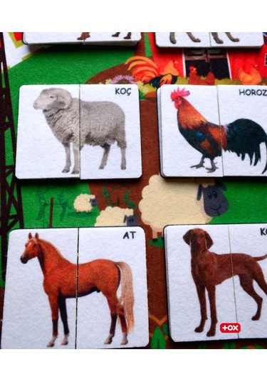 Tox Evcil Hayvanlar Parça-Bütün Eşleşmeler Keçe Cırtlı Aktivi