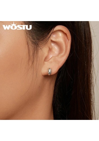 Gümüş Wostu 925 Ayar Gümüş Basit Ay Saplama Küpe Kadınlar Için Ins Tarzı Aerodinamik Kulak Sutds Pendientes Düğün Takısı 925 Ayar