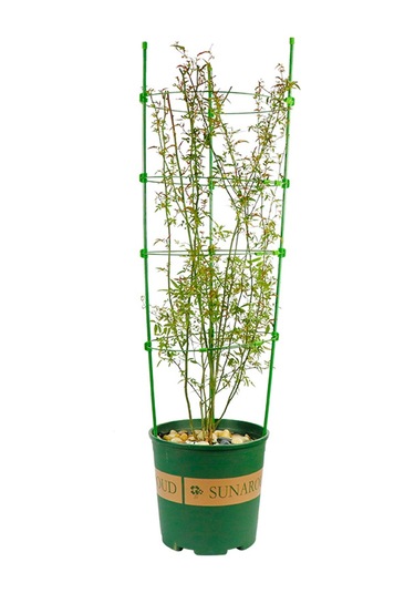 Youmex Bitki Tüp Sarmal Destek Ağiç, 7mm Çubuk Triangular Yapı, Yeşil Elektrostatik Boya, Boyut Ayarlanabilir, Çiçek-baklagil-biber-gül İçin