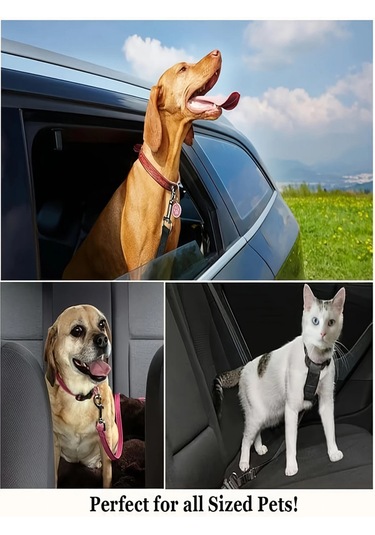 Araç Köpek Kedi Koltuk Emniyet Kemeri Evcil Hayvan Araba Metal Emniyet Halkası Tasması Tokası Siyah