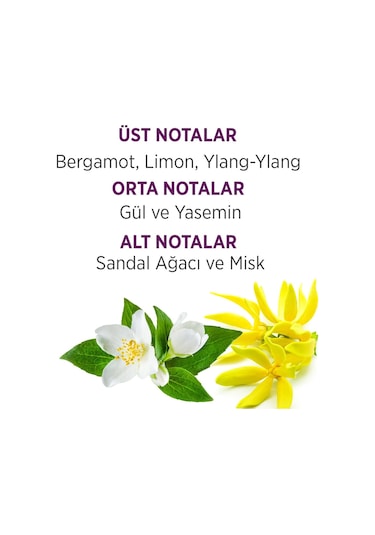 Bellissima Kadın Parfüm EDT 60 ML + Sprey Deodorant 2 x 150 ML