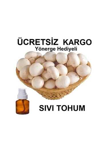 100 Ml Beyaz KüLür Mantarı Tohumu