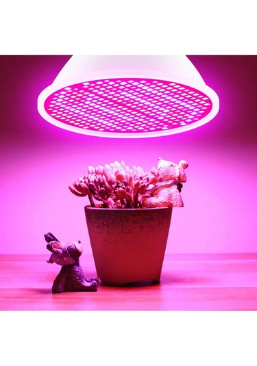 Kangvka E14 Taban Bitki Büyüme Lambası, Kırmızı-mavi Spektrum, 48 Led Işık Kaynağı, Ev/ofis/seracılık Kullanıma Uygun Çok Renkli