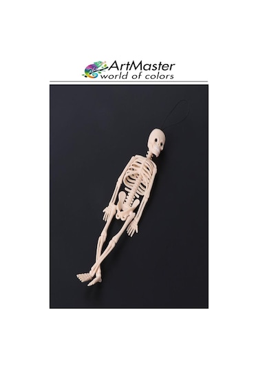 İskelet Modeli Plastik 20 Cm 1 Adet Silikon İnsan İskeleti Plastik İsket Modeli Silikon İskelet Deneyi Araba Süsü