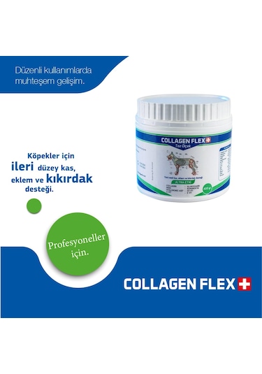 Collagen Flex Professional Eklem ve Kas Desteği 400 G
