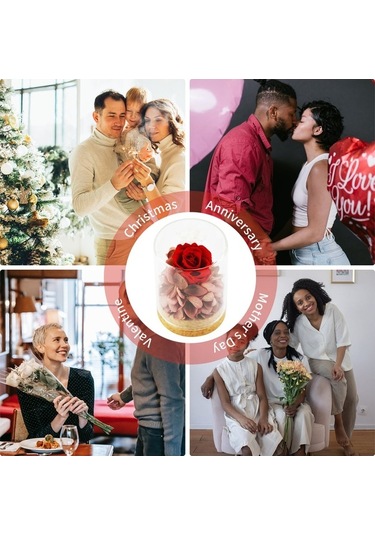 Ulzyvf Unutulmaz Gül Hediyesi - Cam Kaplı Sonsuz Aşk Gülü