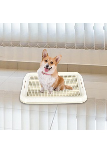 Homyl Köpek Lazımlık Tuvalet Kaymaz Çıkarılabilir Beyaz