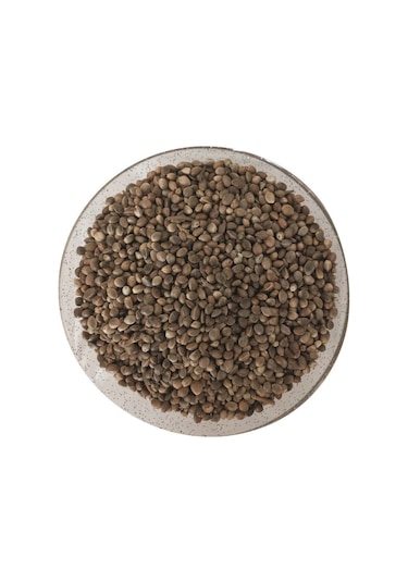 Vivid Kenevir Kendir Tohumu 1 Kg