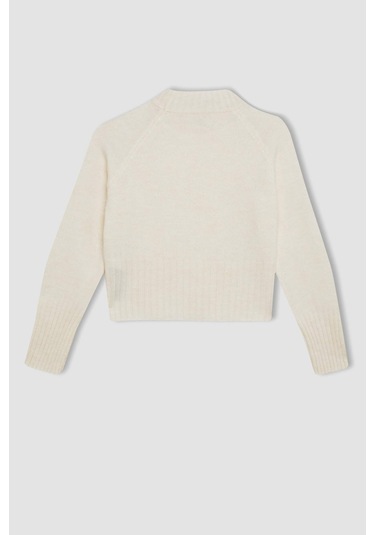 DeFacto Kız Çocuk Standart Fit Bisiklet Yaka Triko Kazak C9553A824AUER233 Ekru