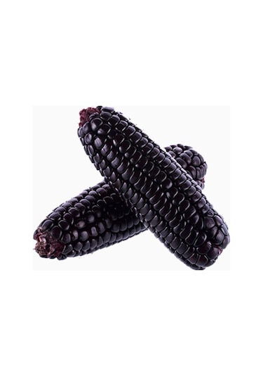 Süper Paket 20 Nadir Ithal Siyah Mısır Tohumu