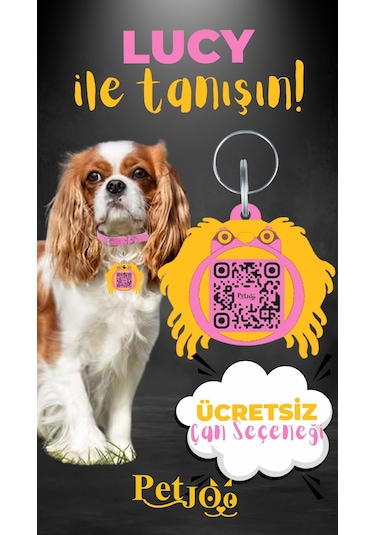 Petjoo 11.Lucy Sarı-Pembe Qr'lı Köpek Künyesi
