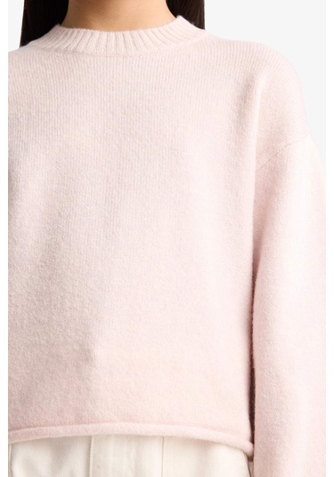 Defacto Kız Çocuk Standart Fit Bisiklet Yaka Triko Kazak F0108a825wnpn692 Pembe