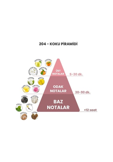 BEX 204 Kadın Parfüm EDP 50 ML
