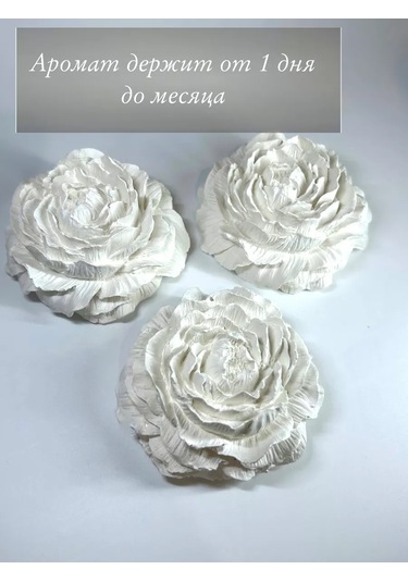 Wick24 İç Mekan İçin Uçucu Yağlar İçin Şap Taş Aroması Piyon Aromadüfüsör 185463464