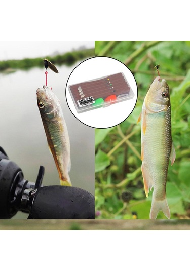 Homyl Bağlı Sinekler Seti Yapay Yem Balıkçılık Cazibesi D