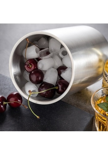 Wondernest Paslanmaz Çelik Şarap Kovası, Çift Bölmeli Buz Bar Ev & Şampanya Soğutucu