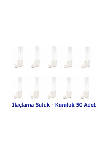 Suluğu - Kumluk 50 Adet