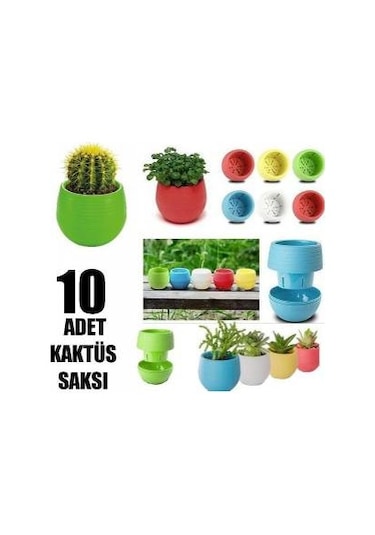 Plastik Mini Kakts Saks 10 Adet Fiyatlar ve zellikleri