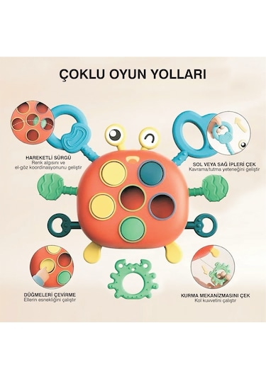 Yengeç Şekilli Montessori Duyusal Gözlem Beceri Geliştirme Eğitic