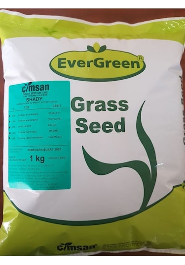 Evergreen Shady Gölge Alan Çim Tohumu 1 Kg