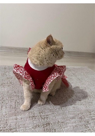Gobo Çiçek Desenli Papyonlu Kedi Köpek Kıyafeti Elbisesi