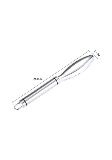 Ulzyvf Cbtx Paslanmaz Çelik Balık Pulu Planya - Gümüş Balık Pulu Sökücü Gümüş