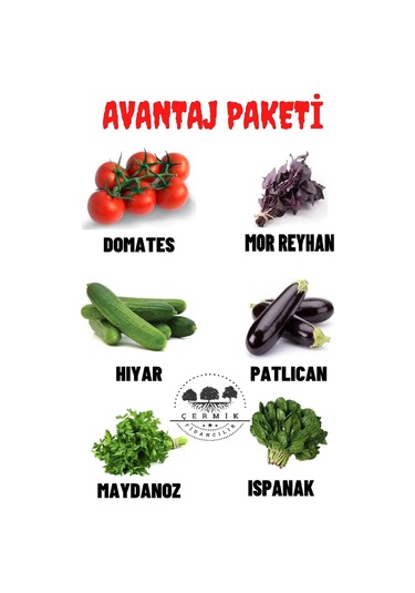 Domates ,mor Reyhan , Hıyar , Patlıcan , Maydanoz , Ispanak 60 Gr