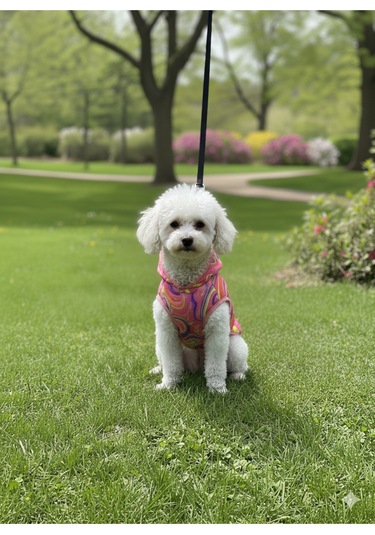Patilinka Kedi Köpek Kışlık Kıyafet Gökkuşağı Pembe Yağmurluk