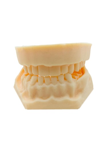 Barışhan Medikal Silikon Çene Diş Dikiş Modeli Ortodontik Alt Üst Çene Periodontal Sütür Eğitim Modeli-3