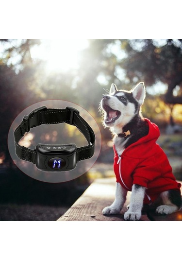 Suntek Köpek Şok Eğitim Tasması Su Geçirmez Şarj Siyah