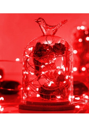 Ev Balkon Ve Parti İçin 10 Metre Kırmızı Renk Pilli Peri Led Yılbaşı Süsü Işık Kırmzı