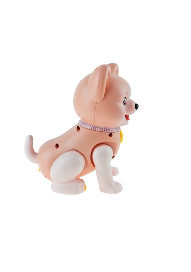 Oyuncak Köpek Işıklı Sesli Pilli Köpek 17 Cm