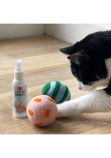 Kikkerland Kiko Spray & Play Cat10
