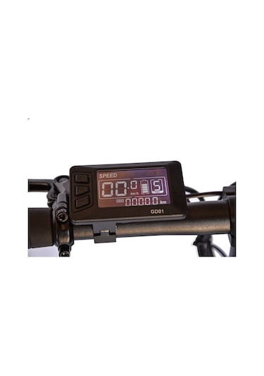 Roxform Ege Şehir Elektrikli Bisiklet - 250w Motor, 20 İnç Jant Gri