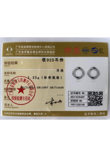 925 Ayar Gümüş Yuvarlak Küpe Hediye Romantik Takı