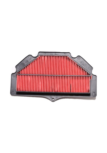 Motomaster 303-540 Hava Filtresi