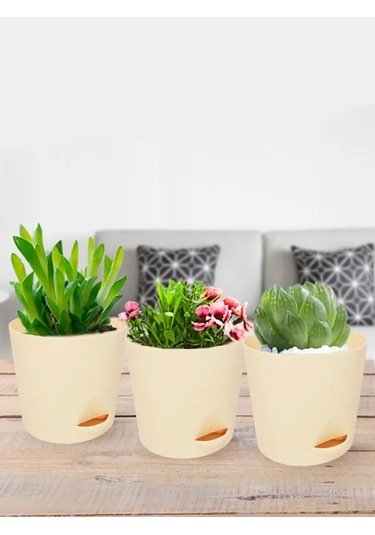 Interm Menekşe Fideleri İçin Tabaklı Çiçek Saksıları 5'li S 105636636