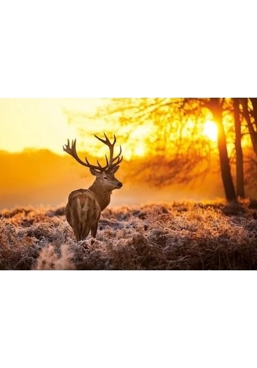 Maxi Poster Golden Stag