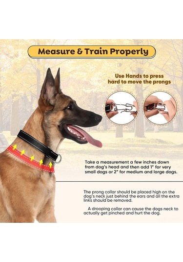 Geeroyoo Kişiselleştirilebilir, Hızlı Çıkarılabilir, Sürdürülebilir Köpek Eğitim Tasması - Paslanmaz Çelik Ve Nylon Siyah