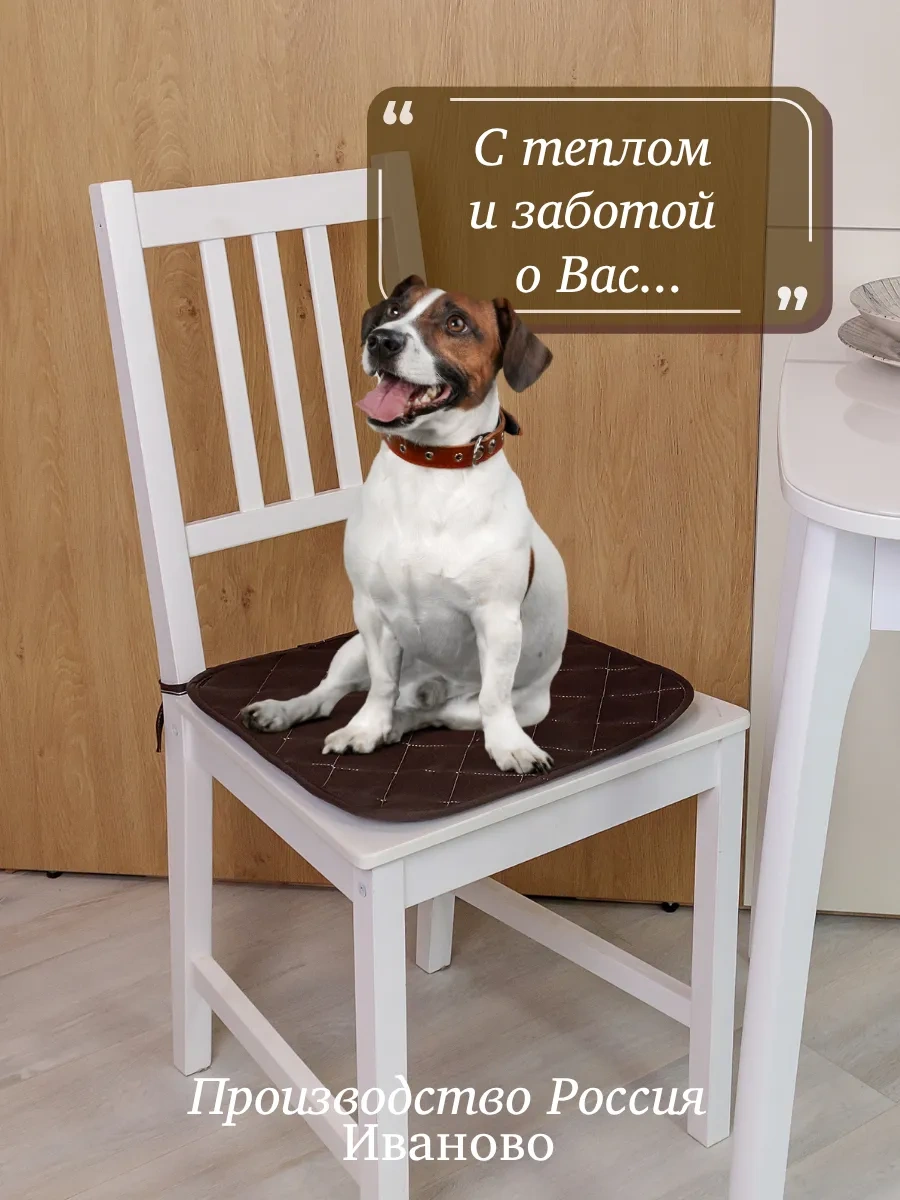 23 Linia 38x38 Cm Sandalye İçin Yastık Seti 59494329 Kahve