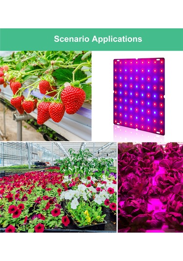 Dofolink 169 Led Kırmızı-mavi Spektrum Bitki Büyüme Lambası, İç Mekan Fide Yetiştirme Işığı, 100-277v, 12w Avrupa Standartı Şarj Aleti Diğer