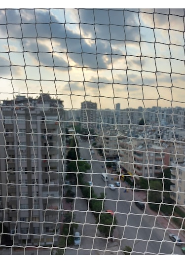 Morilu Kuş Ağı – 2 cm Gözenekli – 1,5 mm İp – Kuş Filesi – Balkon Ağı
