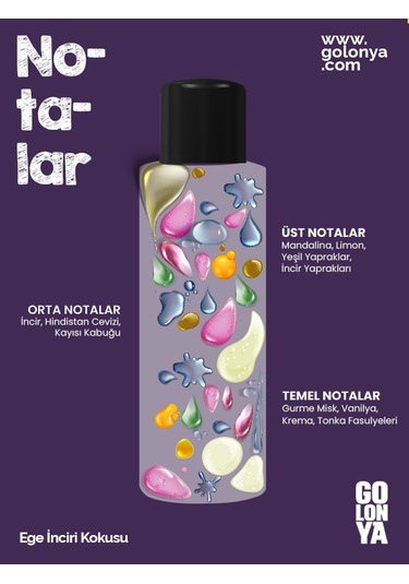 Golonya 4'lü Set - 250 ML