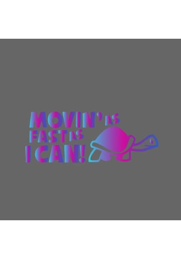 Yansıtıcı Hareket Mümkün Olduğunca Hızlı Hayvan Araba Çizgi/çizik Kapağı Yaratıcı Holographic 1 Piece Set