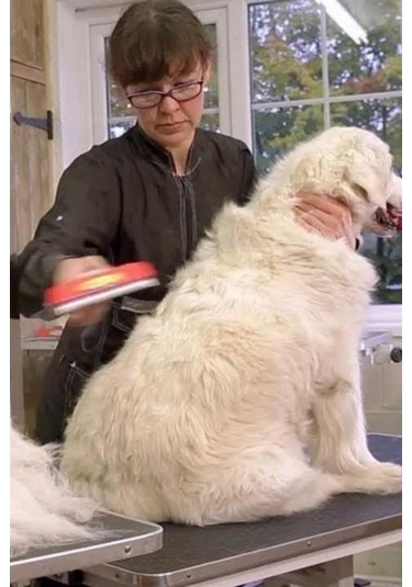 Büro Ev Evcil Hayvanı İçin 10cm Uzun Tüylü Köpek Tüy Toplayıcı Tarak