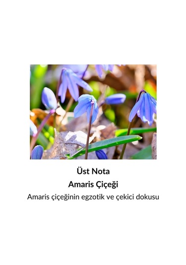 Alescia St-87 Kadın Parfüm EDP 50 ML