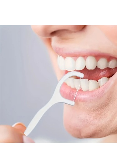 Willowhaven 150 Adet Ucuz Diş İpi Tercihi Ağız Hijyeni Ve Seyahat İçin Pratik